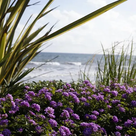 公寓 巴伊亚精品公寓 埃斯特波纳